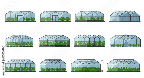 Variety of greenhouses with plants in flat design