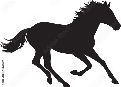 Black horse galloping wild silhouette running
