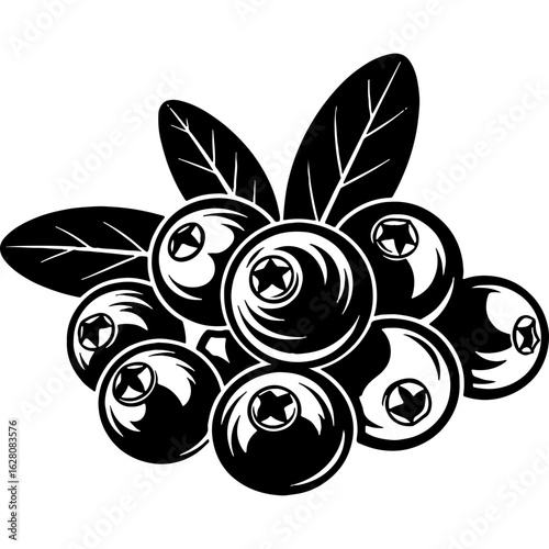 Vintage woodcut style illustration of berries with leaves. Monochrome graphic design element, perfect for emblems, labels, and packaging.