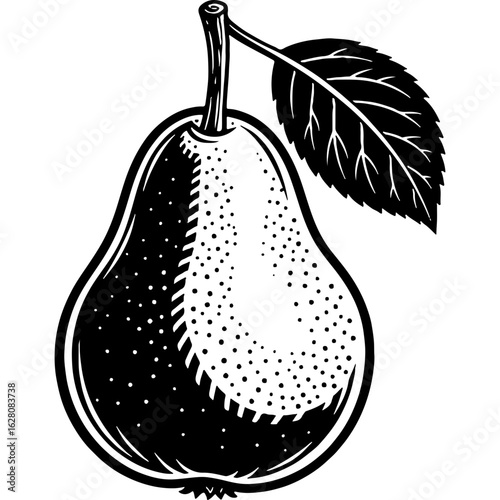Vintage style black and white pear illustration with leaf and stem. Hand-drawn fruit design for healthy food or organic themes.