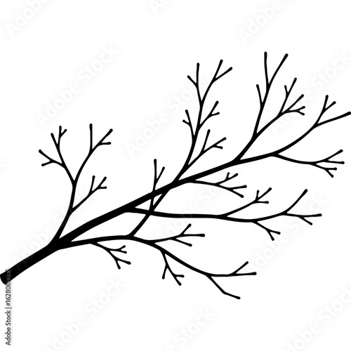 Black silhouette of a bare tree branch with intricate twigs, leafless winter illustration, natural organic design element, vector graphic.