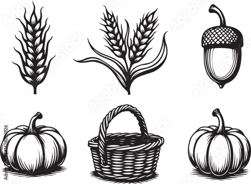 Harvest bounty symbols wheat acorn pumpkin basket autumn