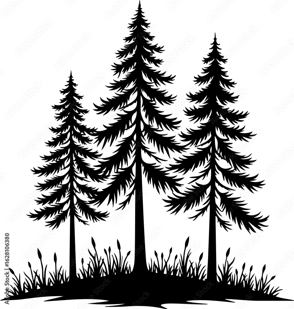 Obraz premium Dense Pine Tree Forest Silhouette VectorBlack and White Evergreen Woods IllustrationConifer Tree Cluster Forest Artwork