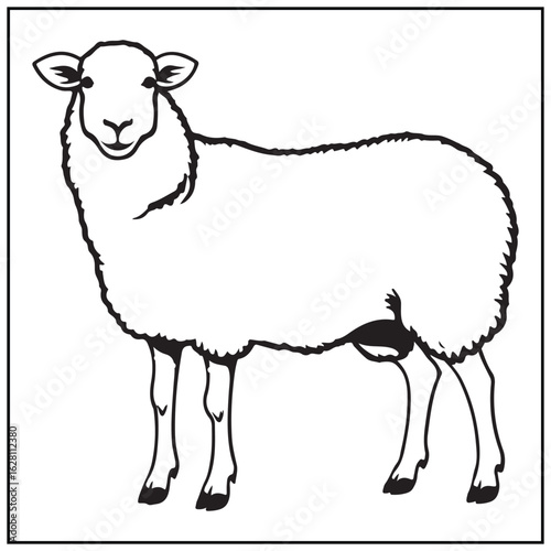 Vector art of sheep with woolly fleece isolated on white background