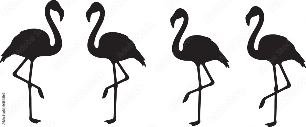 Obraz premium Four black silhouettes of flamingos standing on one leg on a white background bird tropical