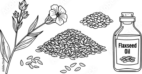 flaxseeds line art vector illustration
