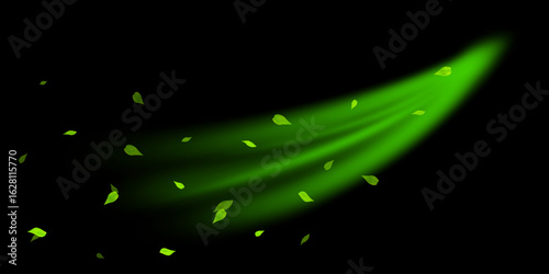 Fresh forest air swirl. Wind flow with flying green leaves. Realistic 3D vector illustration isolated on black background.