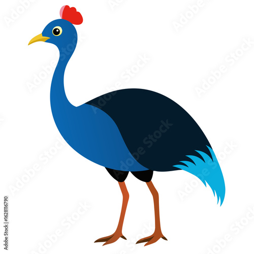 vector illustration of an ostrich