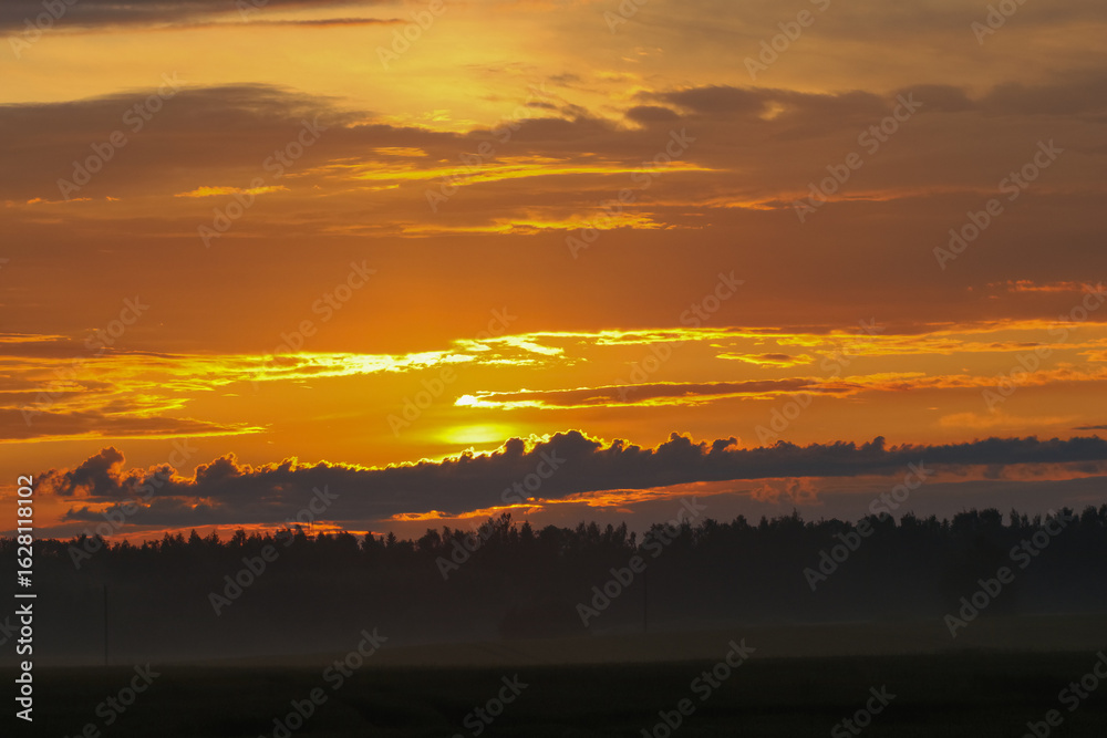 Fototapeta premium Dramatic sunset over misty forest silhouette in summer evening. Vivid summer sunset with golden clouds and mist over a dark forest skyline in peaceful countryside.