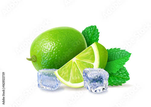 3D realistic lime with mint or tea leaves and transparent ice cubes, Mojito elements. Citrus beverage cocktail illustration , puddle water