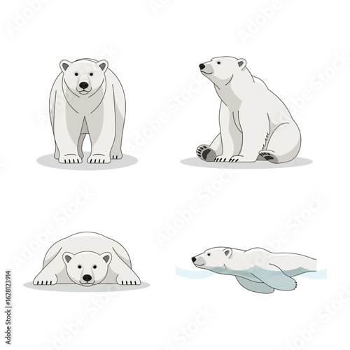 Cute Polar Bear Cubs in Various Poses on Blue Background