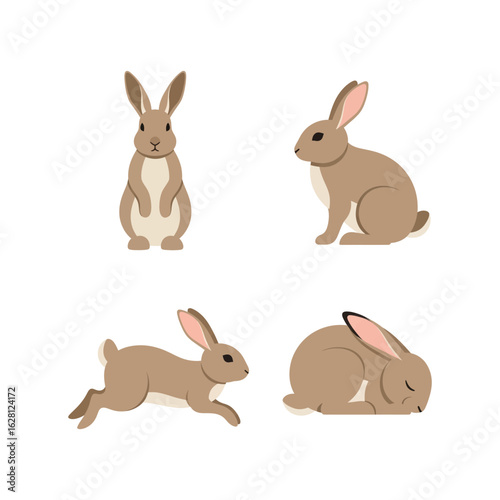 Four charming poses of a brown rabbit