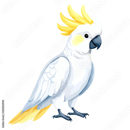 A stylized illustration of a white sulphur-crested cockatoo with a vibrant yellow crest and tail feathers.