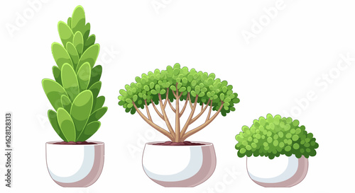 Three potted green indoor plants in white pots with varying shapes and sizes arranged on a white background