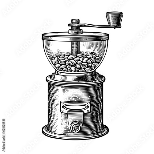 Vintage coffee grinder with visible beans and burrs for brewing  