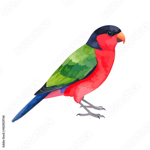 Vibrant Watercolor Parrot Illustration with Black Head, Red Body, Green Wings, and Blue Tail