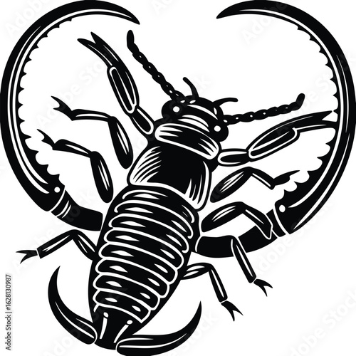 Black vector silhouette of a dangerous scorpion with a raised stinger and large claws, isolated on a white background