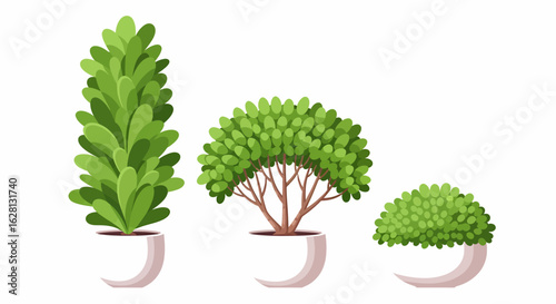 Three potted green trees of different shapes and sizes on a white background