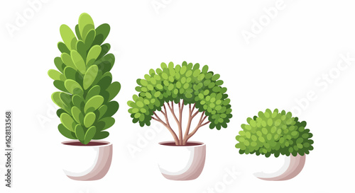 Three lush green potted plants of varying shapes and sizes presented in white planters