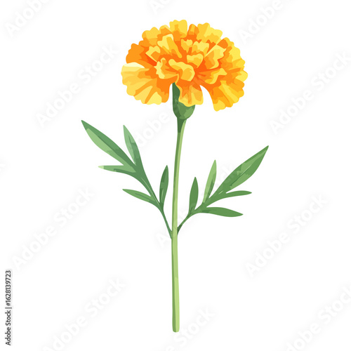 Vibrant Watercolor Illustration of a Blooming Orange Marigold Flower