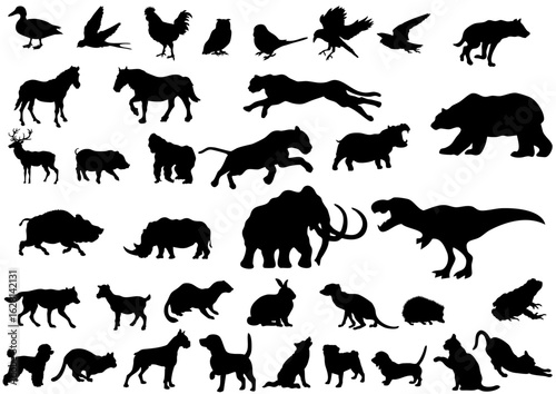 動物のシルエットセット