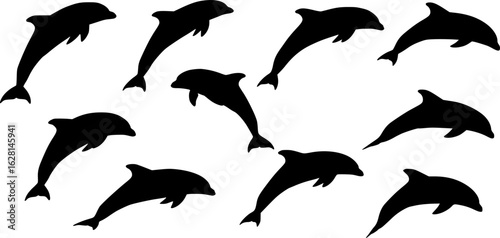 jumping dolphin silhouette vector illustration

