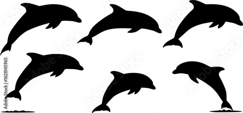jumping dolphin silhouette vector illustration
