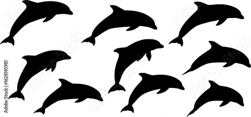 jumping dolphin silhouette vector illustration
