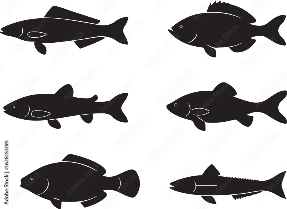 Fototapeta premium Set of various fish silhouettes icons
