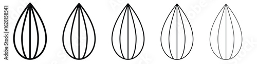 Almond icon logo. Black line icon, vector illustrations.