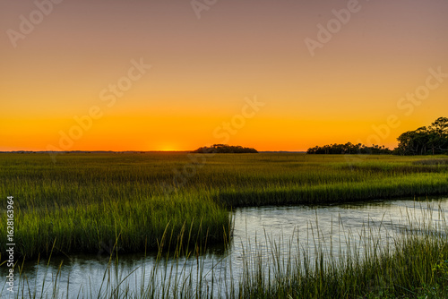Jenkins Point Green and Gold