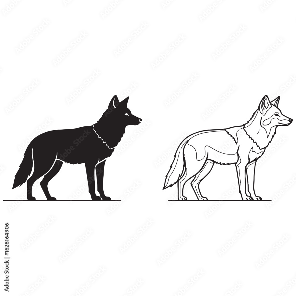 Obraz premium Polished Coyote Silhouette & Coyote Lineart – Coyote Vector Style with Fine Outlines and Details – Coyote Illustration – Silhouette and Lineart Set of Coyote