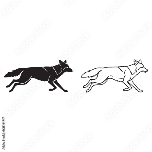 Crisp Coyote Silhouette & Coyote Lineart – Coyote Vector Graphic with Well-Defined Features – Black Vector of Coyote – Vector Set of Coyote

