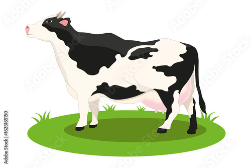 illustration of cow vector cartoon