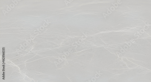 Wallpaper Mural Title: Close-Up of Gray Marble with Prominent White Veining

 Torontodigital.ca