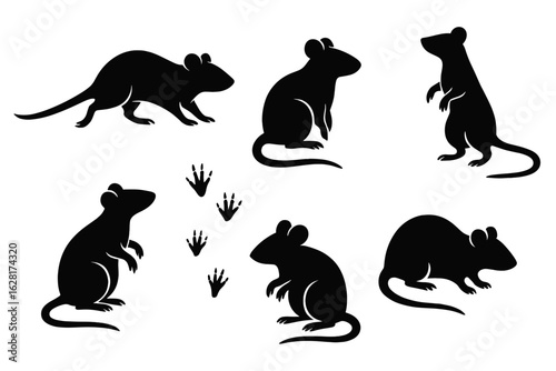 Black rat silhouettes in diverse poses on white background—running, sitting, standing rodents with paw prints for pest control, disease warning, Halloween décor, wildlife study vector set