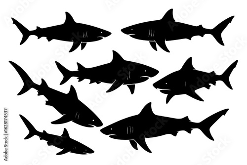 Silhouette shark vector pack—great white, hammerhead, tiger, bull, reef species, ocean predator clipart, marine wildlife illustration for scuba, diving, aquarium, biology, sea life design