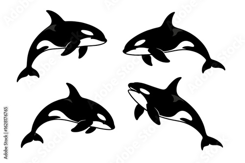 Orca whale silhouette vector set black killer whale shapes isolated white background marine life ocean animals sea mammals collection graphic design elements