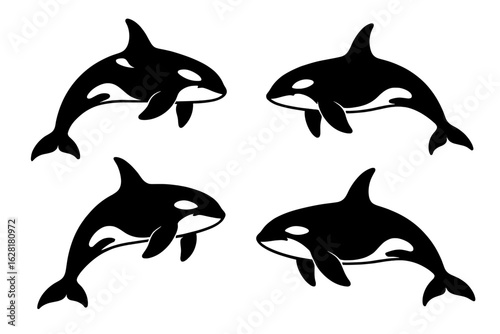 Orca killer whale silhouette vector set collection marine mammal clipart black isolated design wildlife ocean sea animal illustration logo symbol graphic