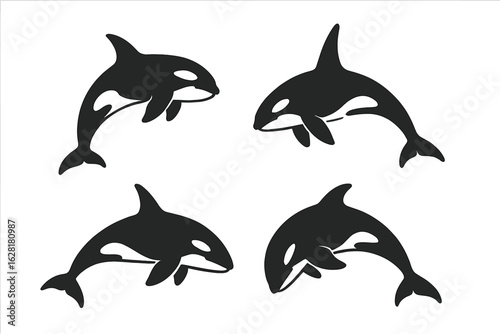 Orca killer whale silhouette vector set. Black marine mammal clipart collection various poses isolated white background. Ocean wildlife educational design elements