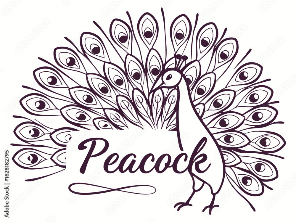 Naklejka premium Royal Elegance – Modern Peacock Logo DesignColorful Majesty – Luxury Peacock Branding ConceptElegant Feathers – Creative Peacock Logo Inspiration