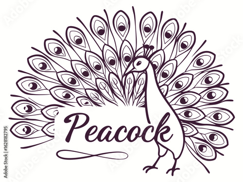 Royal Elegance – Modern Peacock Logo Design

Colorful Majesty – Luxury Peacock Branding Concept

Elegant Feathers – Creative Peacock Logo Inspiration