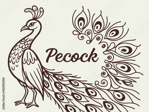 Royal Elegance – Modern Peacock Logo Design

Colorful Majesty – Luxury Peacock Branding Concept

Elegant Feathers – Creative Peacock Logo Inspiration