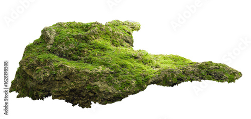 Tropical plant fern moss bush tree jungle stone rock isolated on white background with clipping path.	
