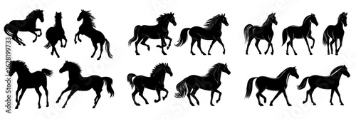 Isolated on a white background are six horse silhouettes in various black poses