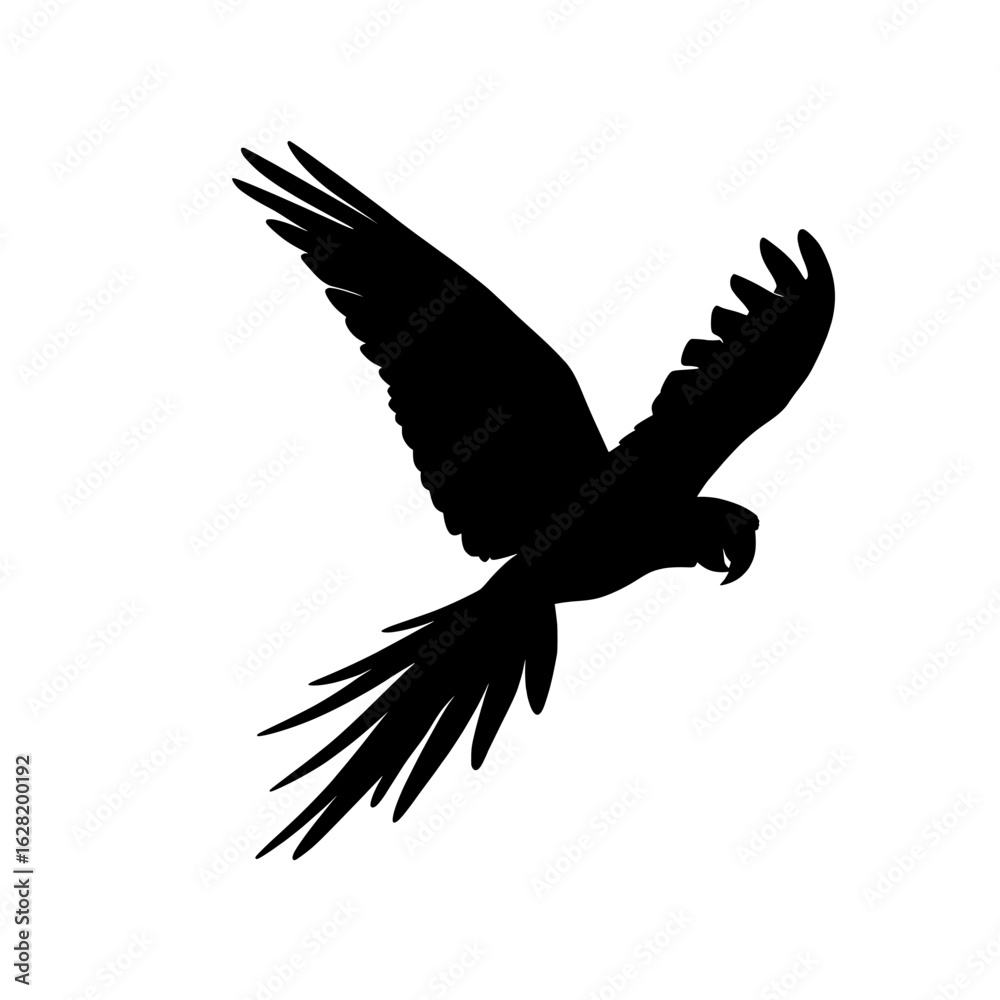 Fototapeta premium In flight, a parrot's black outline is visible, with wings outstretched, standing out against a white background