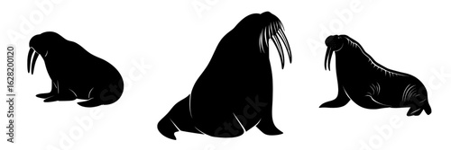 A black walrus silhouette with tusks is illustrated in a modern style against a clean white background for use in design