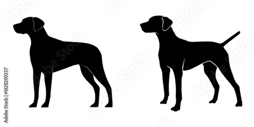 Isolated against a white background is the black silhouette of a dog