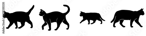 A dark cat shape is set against a white backdrop, accompanied by terms like black, cat, silhouette, walk, and Generative art