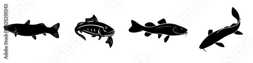 Modern illustration of a catfish silhouette isolated on white